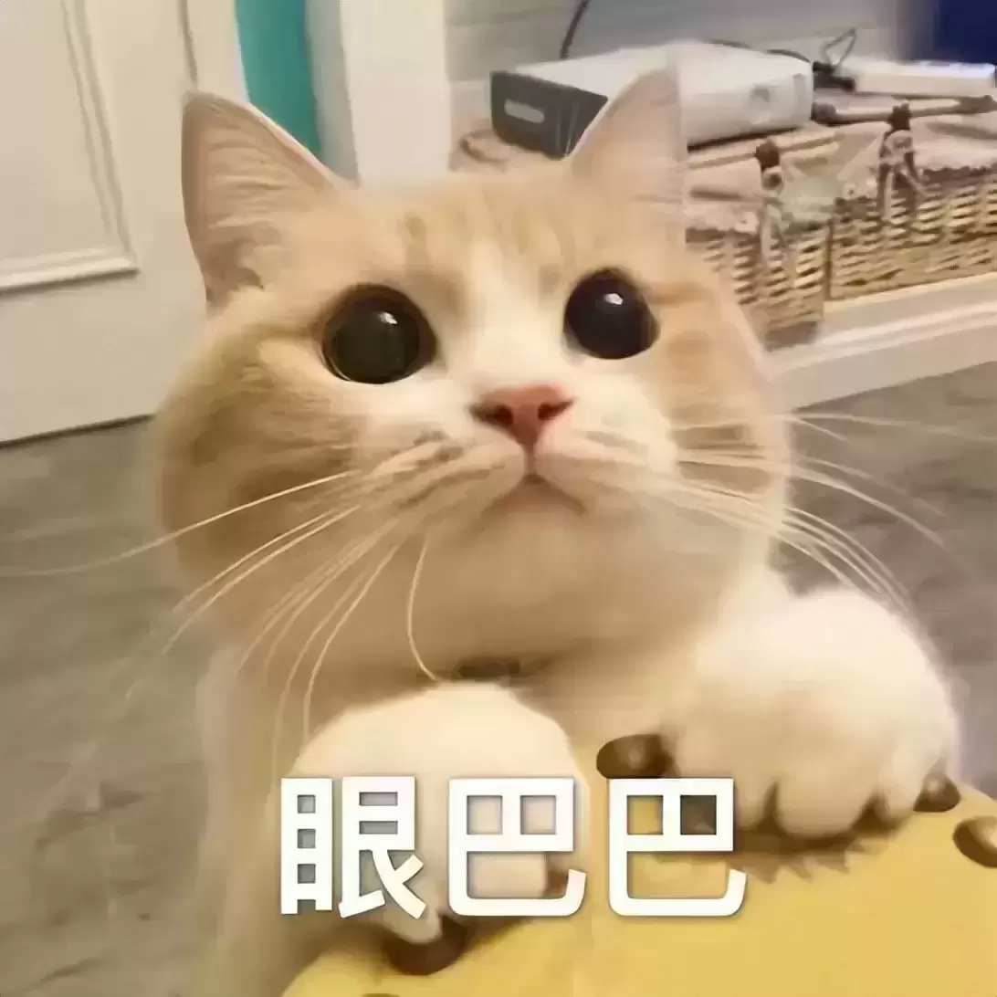 飞机杯和真人对比差别大吗？老玩家给你科普飞机杯的好处及和真人的区别