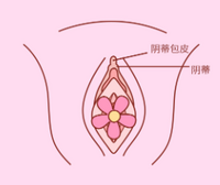 摸豆豆总是不舒服?新手到底应该怎么摸