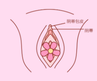 摸豆豆总是不舒服?新手到底应该怎么摸
