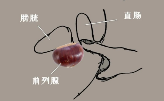 能让猛男落泪？前列腺高潮有多爽
