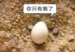男生的蛋蛋最怕什么？你的蛋蛋还好吗