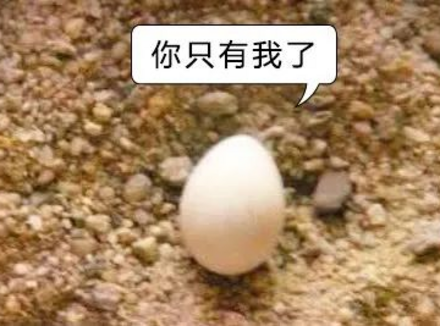 男生的蛋蛋最怕什么？你的蛋蛋还好吗