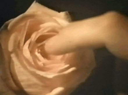女性能给自己带来快感的方式？除了夹腿还有…