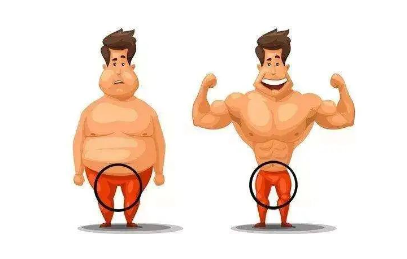 为什么肥胖男士的丁丁更短小