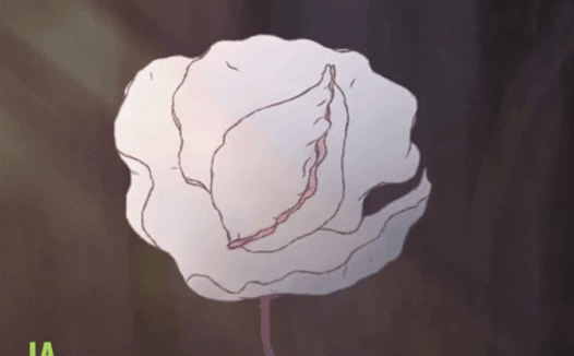 女性私处不对称，会影响性体验吗