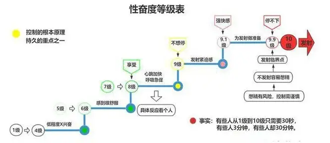 性奋等级示意图