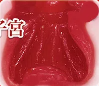 揭秘现实中流传的5大名器类型，原来还有这种差别！