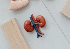 关于改善肾脏健康,你需要了解的9个小常识