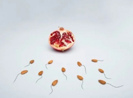 精子存活率48可以怀孕吗