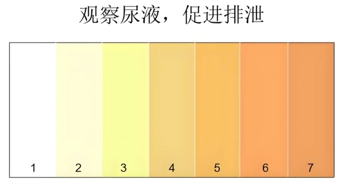 这种颜色的尿，是好尿
