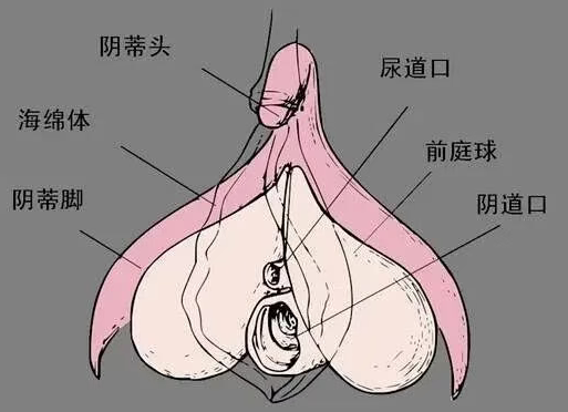 按小豆豆无感，可能你的打开方式不对