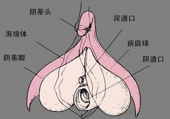 按小豆豆无感，可能你的打开方式不对