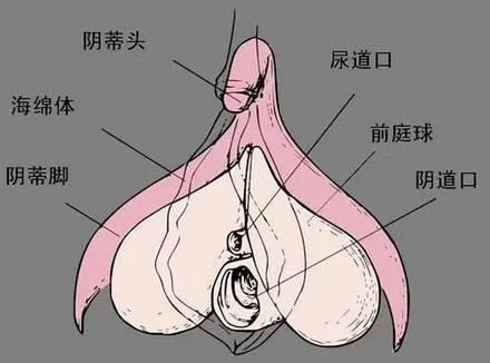 按小豆豆无感，可能你的打开方式不对