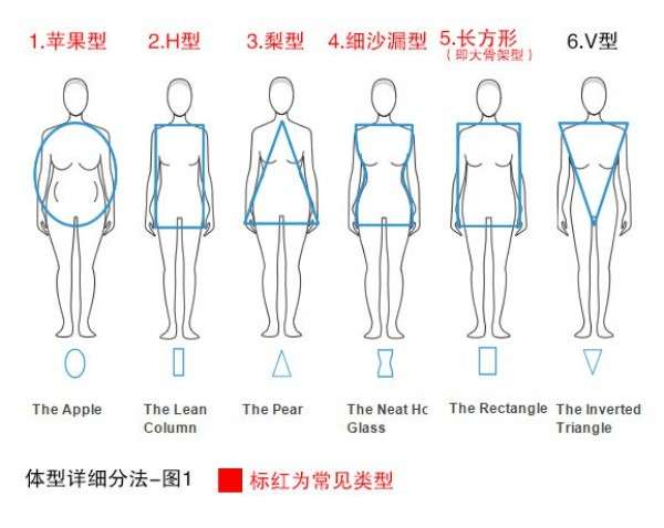 女生常见的12种体型分析，你属于哪种？