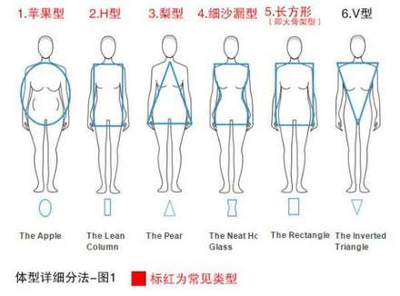 女生常见的12种体型分析，你属于哪种？