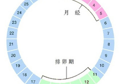 月经干净一般第几天开始排卵