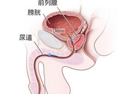 男生的前列腺真的有G点吗