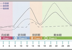 女人真的被激素拿捏的死死的