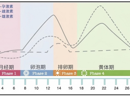 女人真的被激素拿捏的死死的