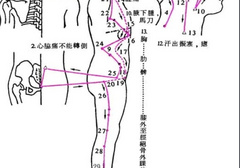 胆经在身体的哪个部位