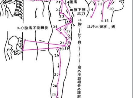 胆经在身体的哪个部位