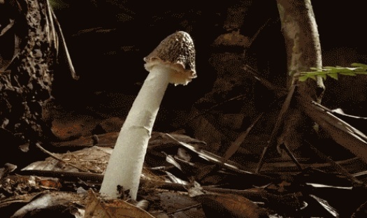 男生遇到这3种情况，可能都会硬！