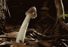 男生遇到这3种情况，可能都会硬！