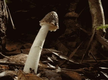 男生遇到这3种情况，可能都会硬！