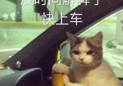 关于 do 爱的冷知识，希望男女都知道……