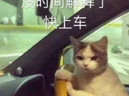 关于 do 爱的冷知识，希望男女都知道……