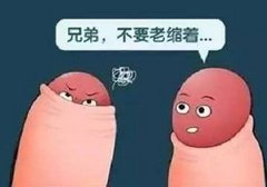 不同形状的丁丁，老司机要开车了，快上车。。。