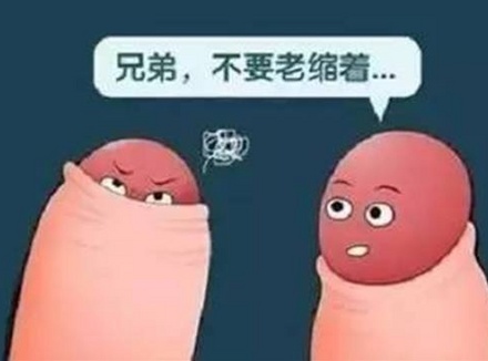不同形状的丁丁，老司机要开车了，快上车。。。