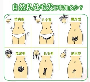 剃掉毛毛后爱爱，真的很爽吗