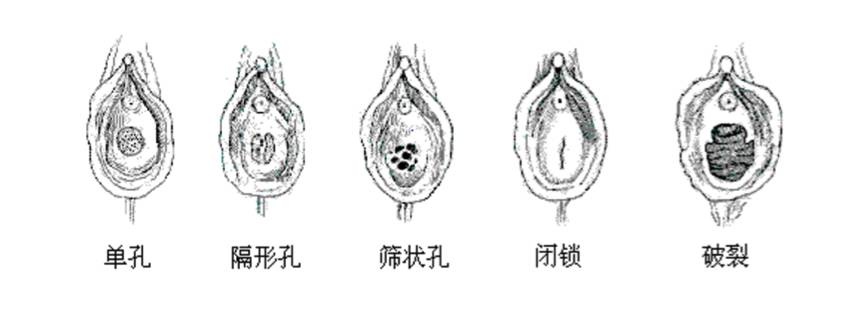 处女就不能享受情趣玩具带来的乐趣吗
