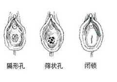 处女就不能享受情趣玩具带来的乐趣吗