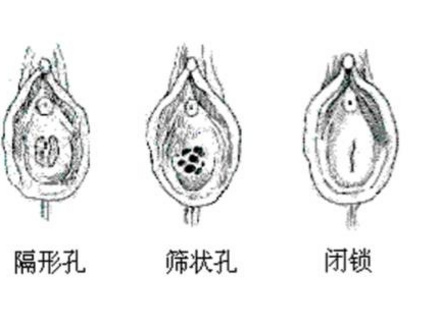 处女就不能享受情趣玩具带来的乐趣吗