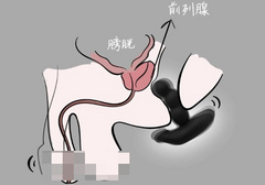 男生的仙女棒是指的啥