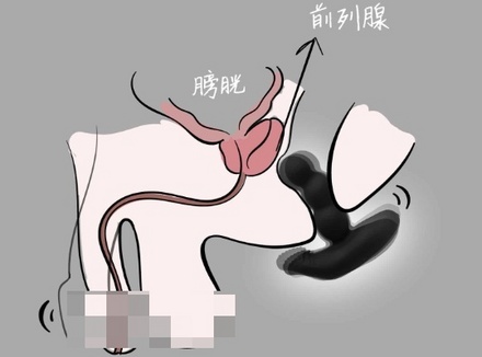 男生的仙女棒是指的啥