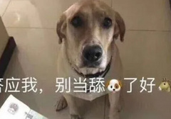 女人是不是都喜欢男生当㖭狗
