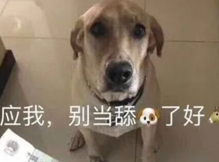 女人是不是都喜欢男生当㖭狗