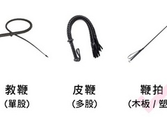 s.m皮鞭长度的选择建议
