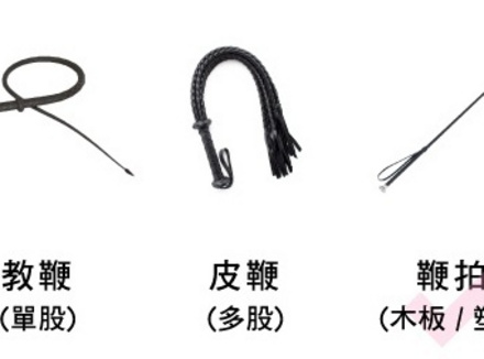 s.m皮鞭长度的选择建议