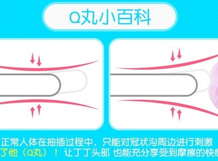 谜姬里面q丸怎么用