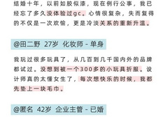 大人糖小海豹使用教程
