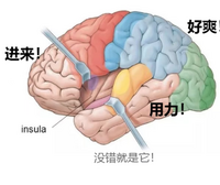 有没有床上脏话（dirty talk）教学？只言片语就让她心潮泛滥