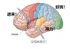 有没有床上脏话（dirty talk）教学？只言片语就让她心潮泛滥