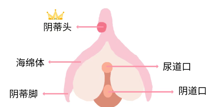 女生自慰和过性生活哪种更舒服？