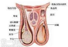 生殖器较小是病吗 预防生殖器疾病的方法