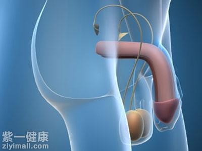 男性不勃起 六大原因导致男性不勃起