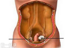 睾酮的生理作用有哪些 解析睾酮的五大生理作用